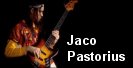 Jaco Pastorius